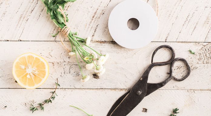 Festive and Cozy Ideas for Thanksgiving Decorations